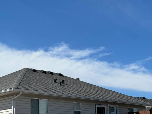 Best Solar Panel Roofing Installation  in Horicon, WI